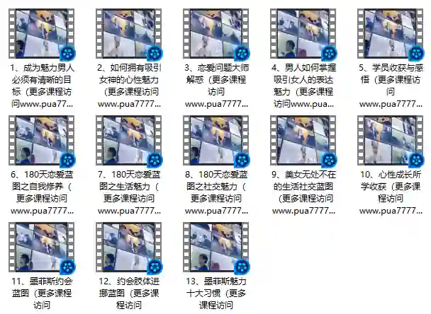 墨菲斯恋爱蓝图课程(高清)-心语情感库