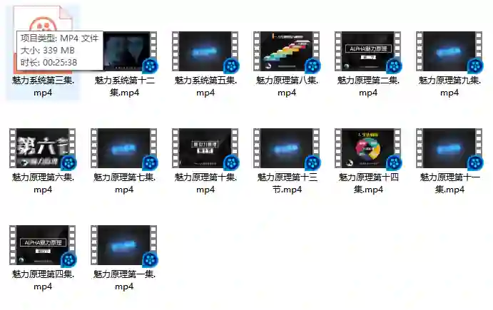 柯李思chris 良叔《魅力原理》-心语情感库