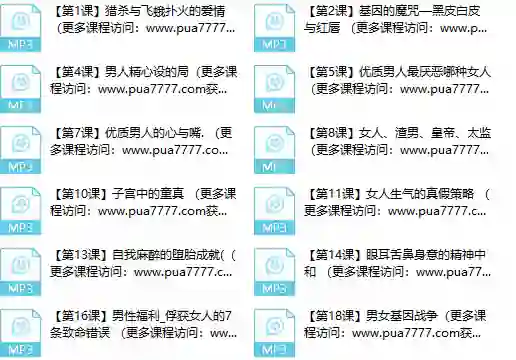 甄琦学长《成功男人的情感刚需》-心语情感库