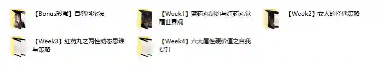 AB《红丸觉醒纪元》-心语情感库