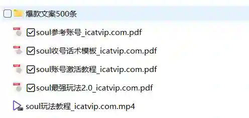 《soul最新玩法》含500条文案-心语情感库