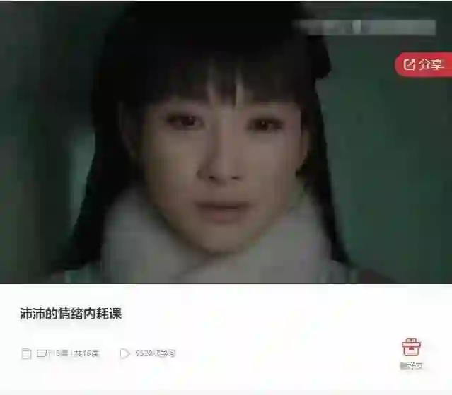 《沛沛的情绪内耗课》-心语情感库