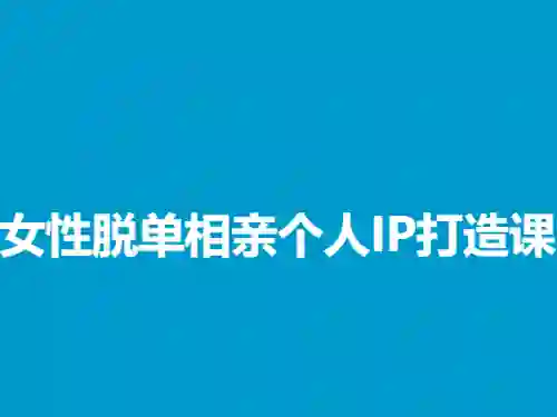 蓝冰《女性脱单相亲个人IP打造课》-心语情感库