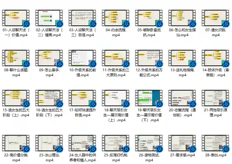 麦子《脱单实战VIP课》-心语情感库