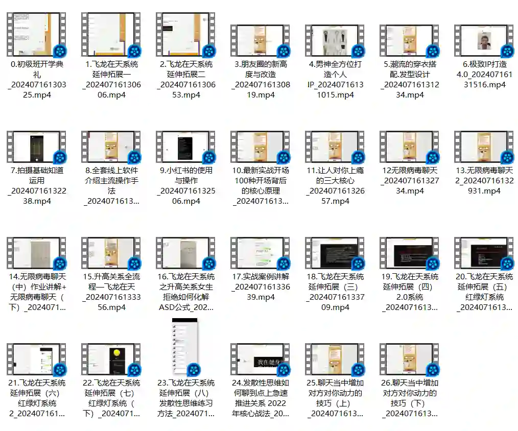 男哥内核3.0初级班内部课-心语情感库